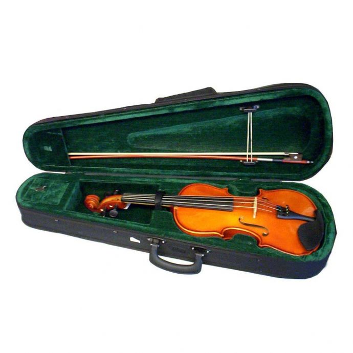 violin case