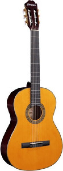 acoustic guitar